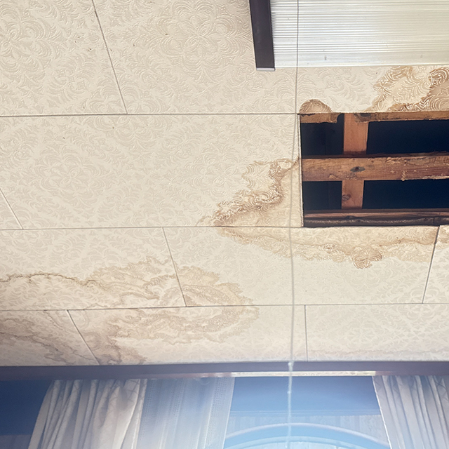 天井や屋上から雨漏りがしている