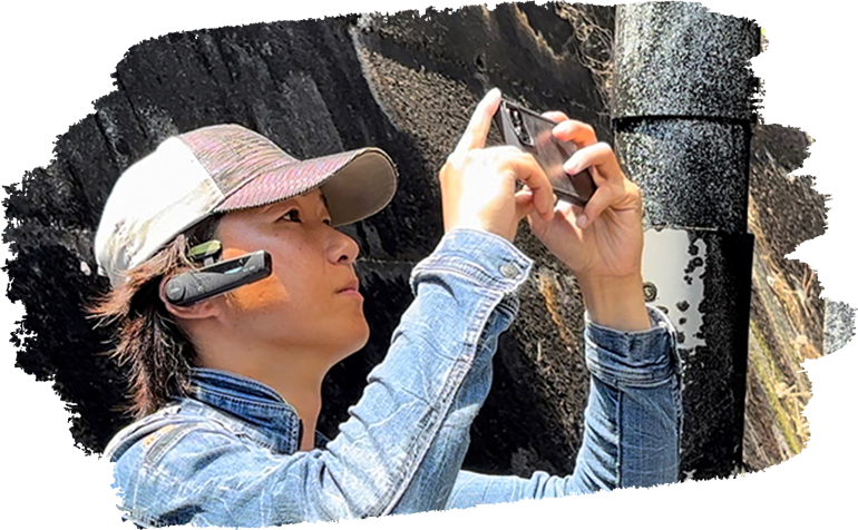 専門家による調査と提案